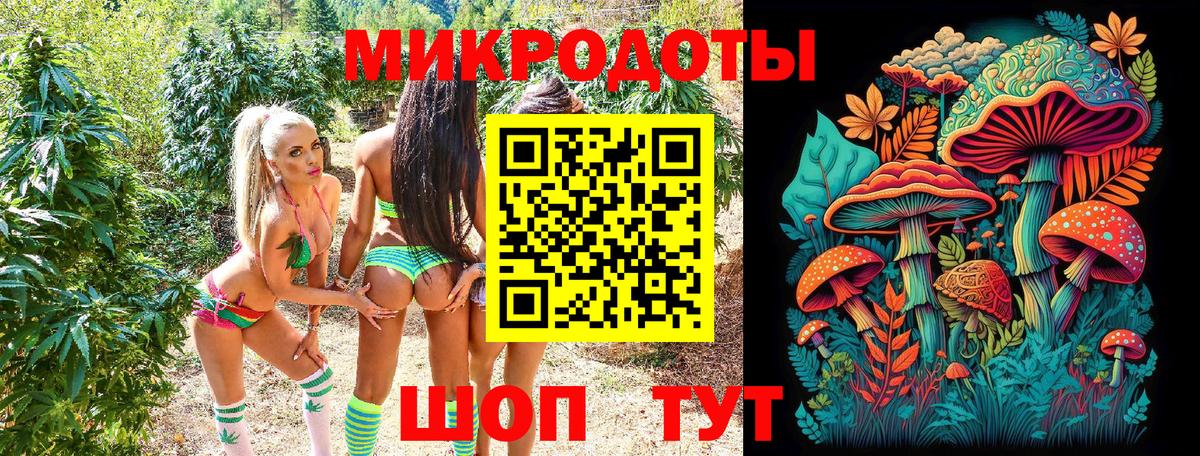 Псилоцибиновые грибы Cubensis  Вход с VPN  Дедовск 