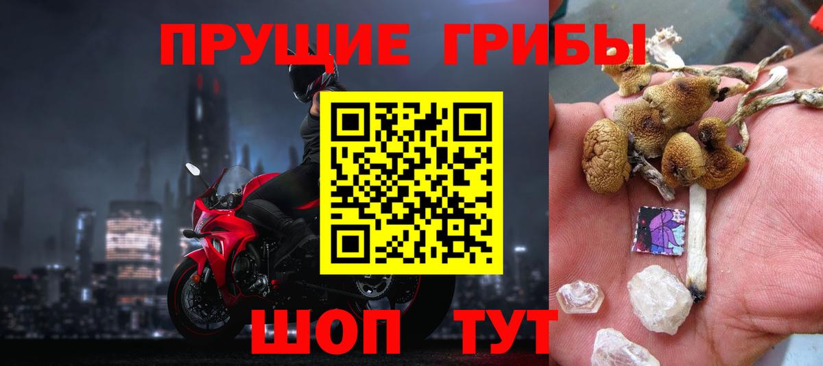 Псилоцибиновые грибы MAGIC MUSHROOMS Дедовск